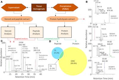 Simultaneous extraction and detection of peptides, steroids, and proteins in small tissue samples